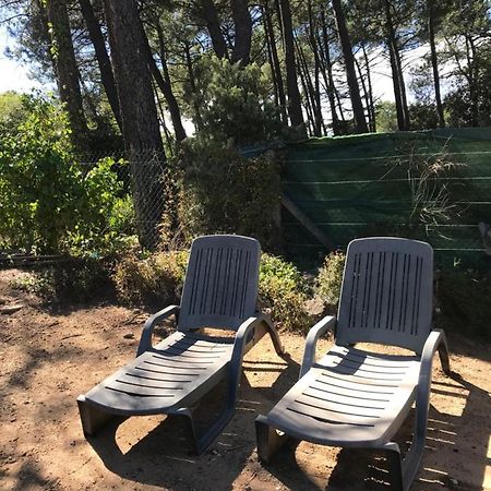 La Pinede Villa Mornas Eksteriør billede